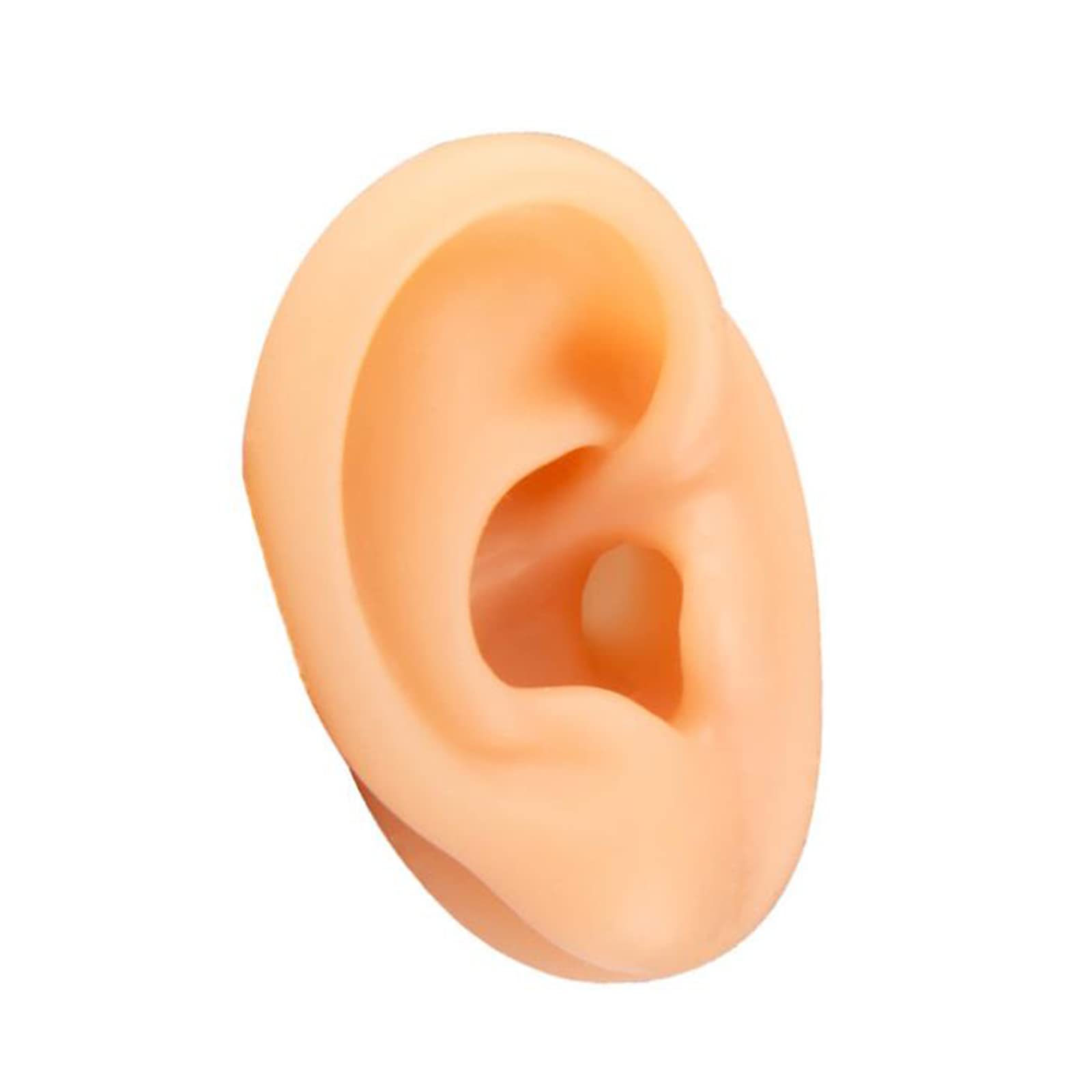 Soft Silicone Human Ear Model For Piercing Practice