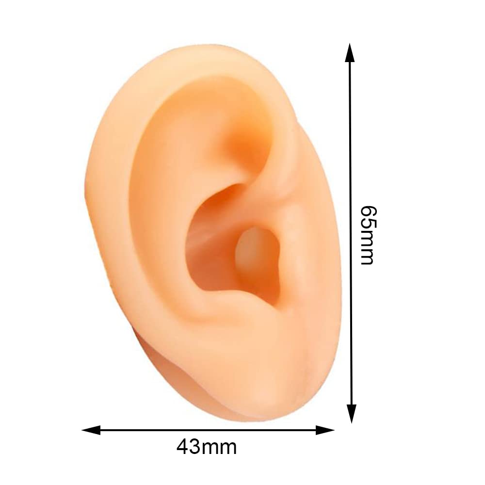 Soft Silicone Human Ear Model For Piercing Practice