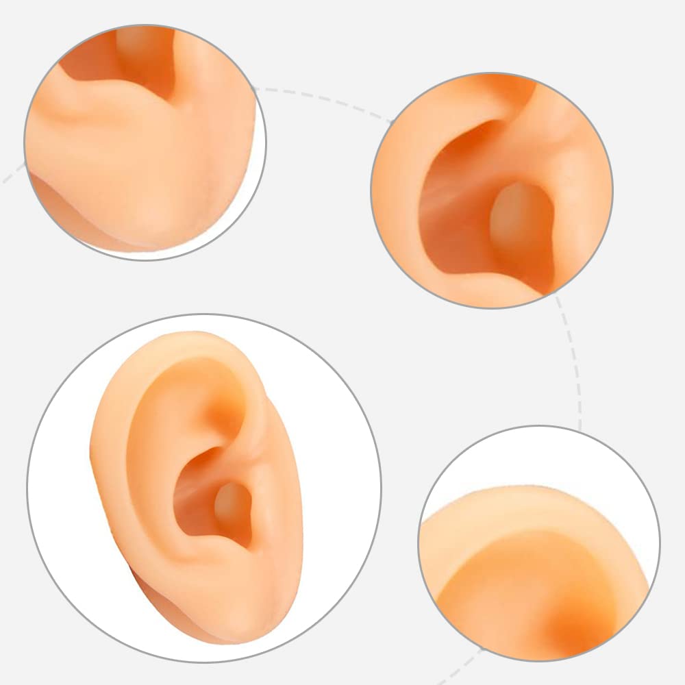 Soft Silicone Human Ear Model For Piercing Practice