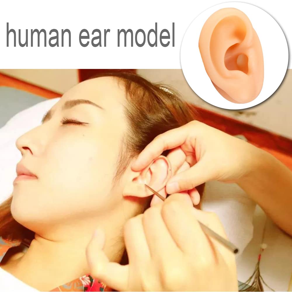 Soft Silicone Human Ear Model For Piercing Practice
