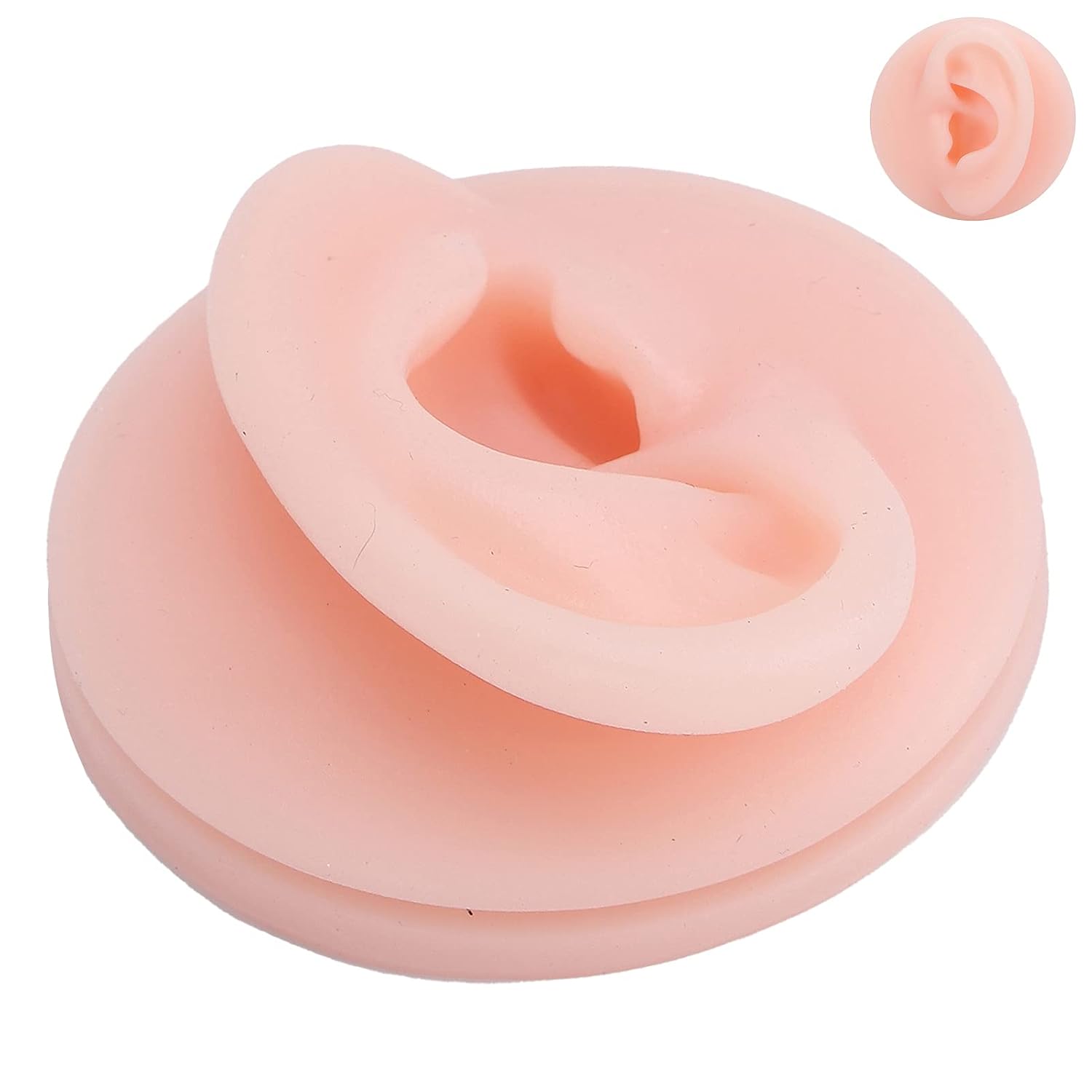 Soft Silicone Human Ear Model