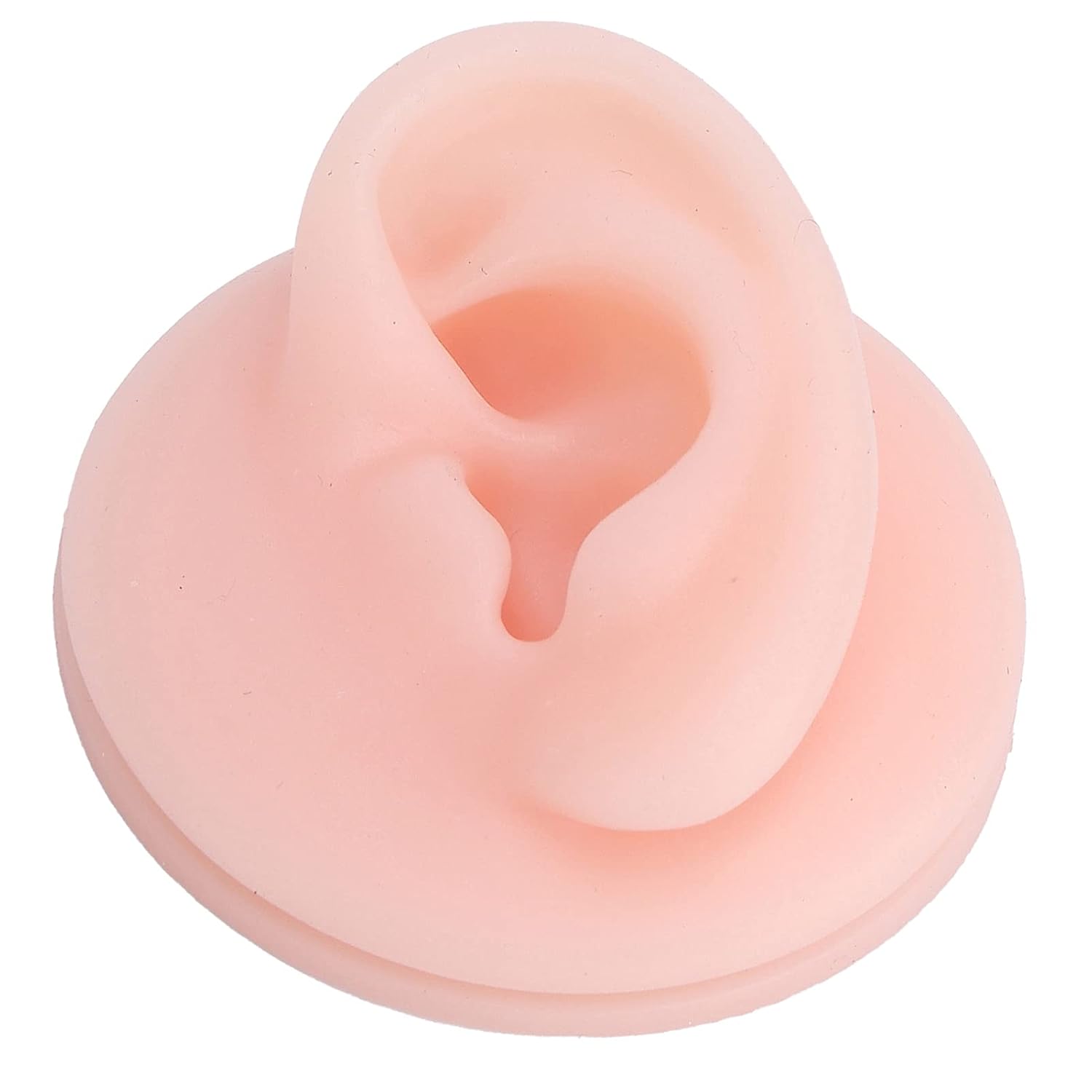 Soft Silicone Human Ear Model