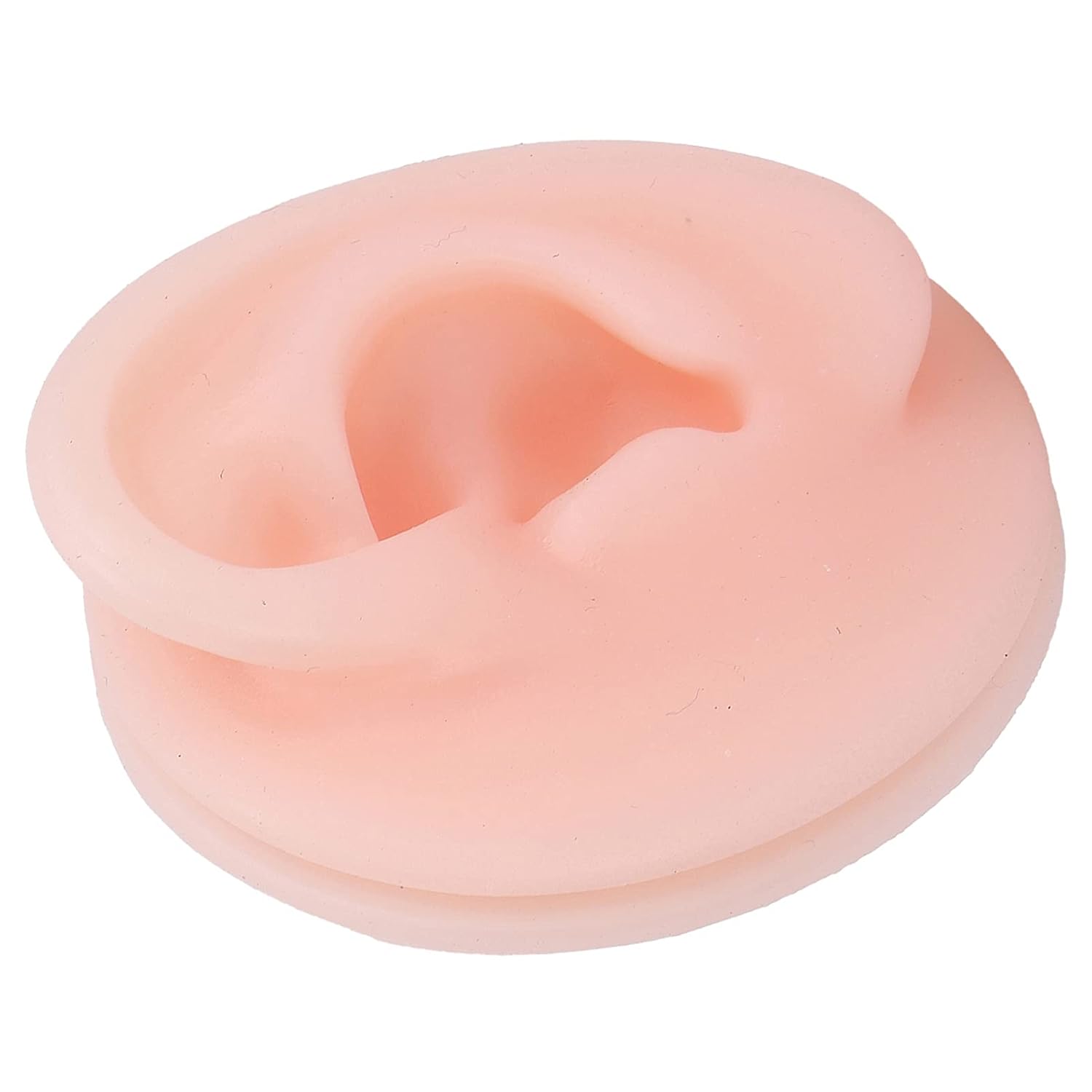 Soft Silicone Human Ear Model