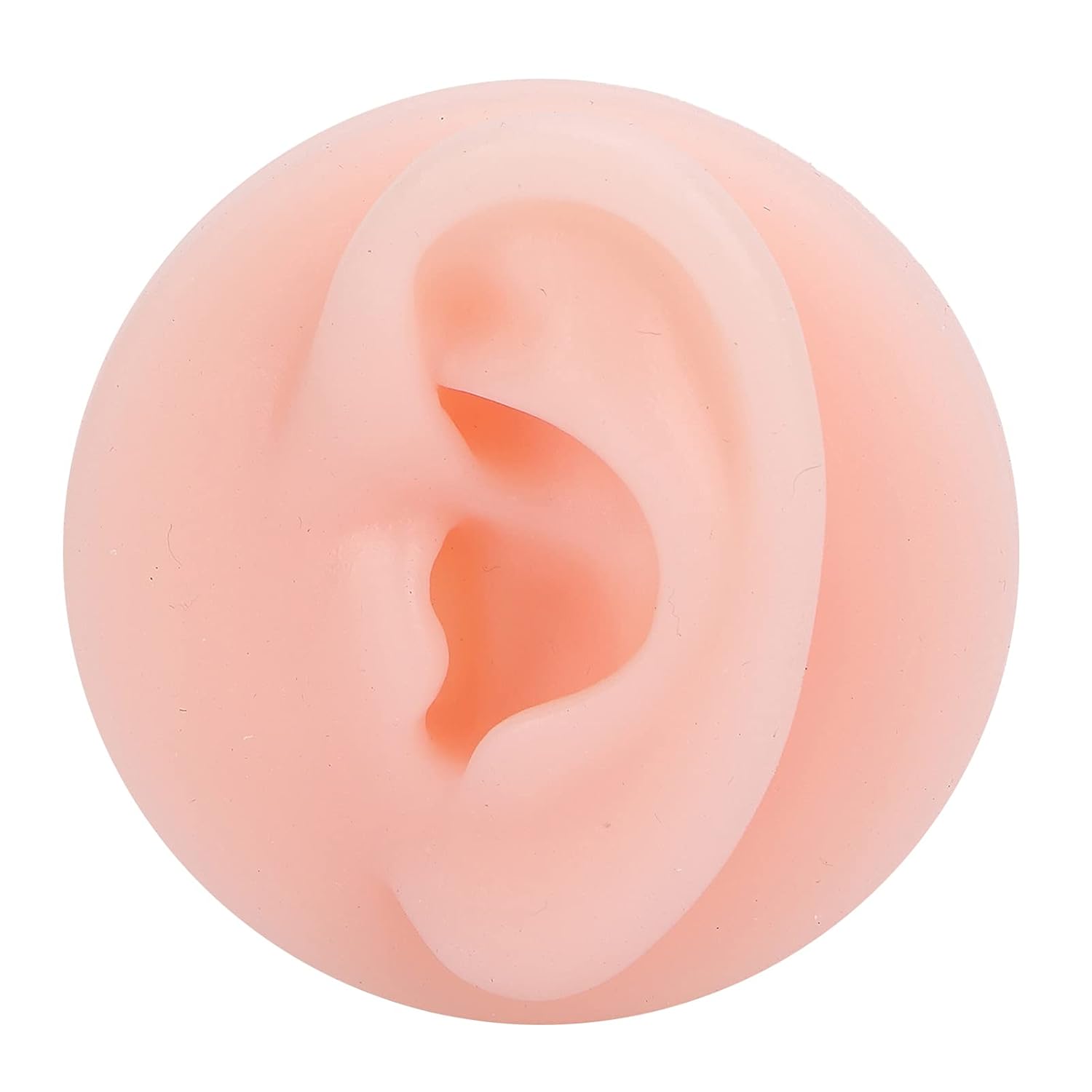 Soft Silicone Human Ear Model For Piercing Practice - Round Base