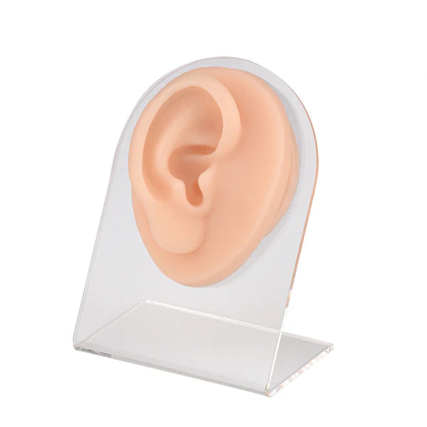 Soft Silicone Human Ear Model For Piercing Practice - Flat Base