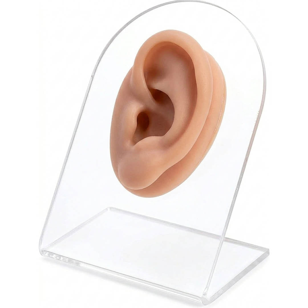 Soft Silicone Human Ear Model For Piercing Practice - Flat Base