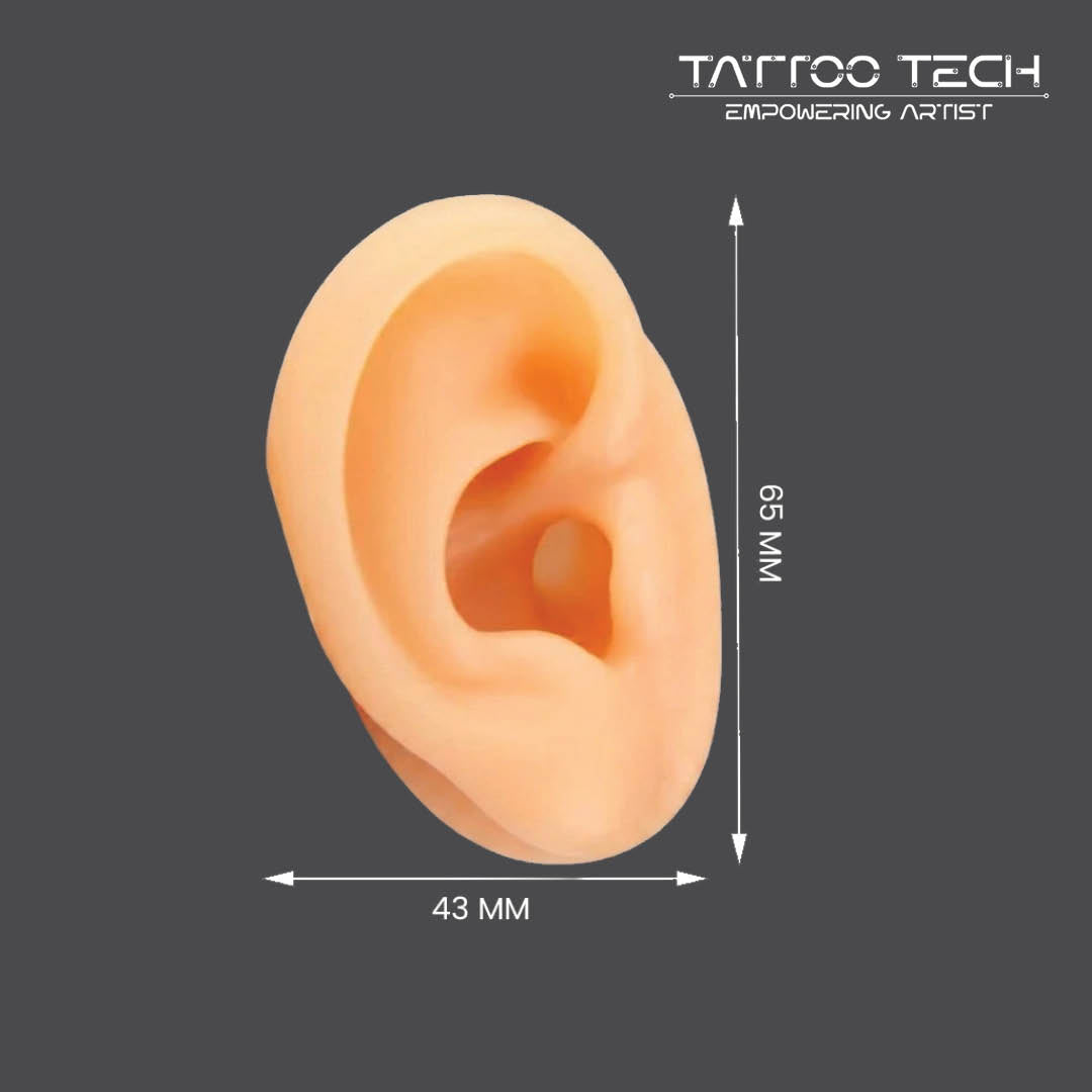 Soft Silicone Human Ear Model For Piercing Practice - Flat Base